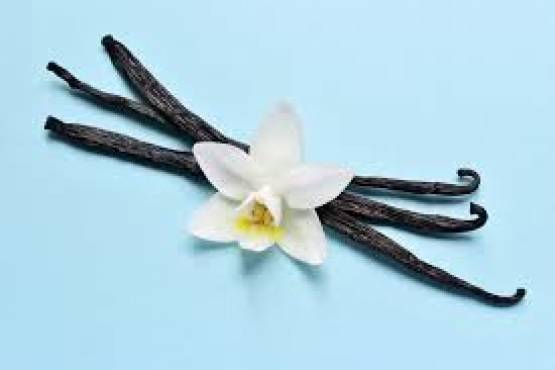 Vanilla & Hibiscus