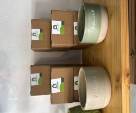 Green Albidar cup 