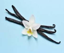 Vanilla & Hibiscus